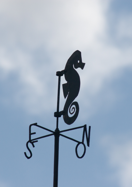 Ocean Muse No. 6 — Lumières Nocturnes