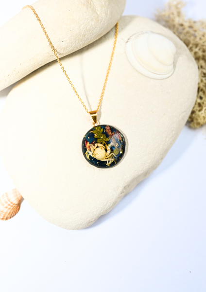 Sirènes de Monte-Carlo — N° 24/24