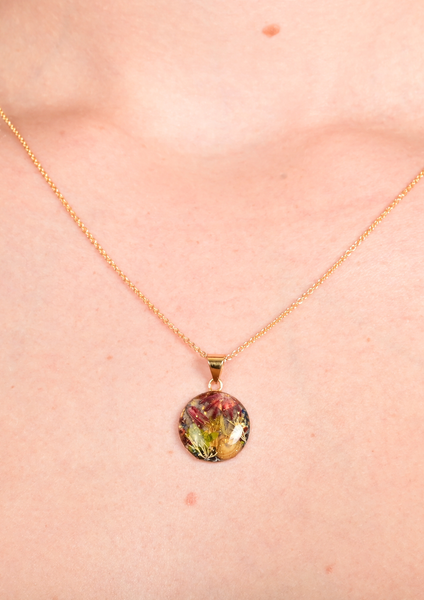 Sirènes de Monte-Carlo — N° 14/24