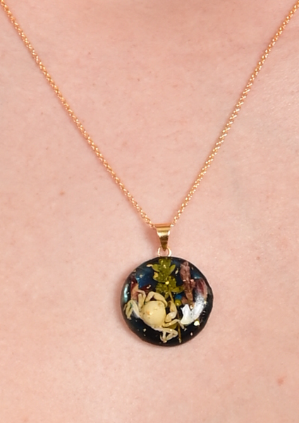 Sirènes de Monte-Carlo — N° 24/24