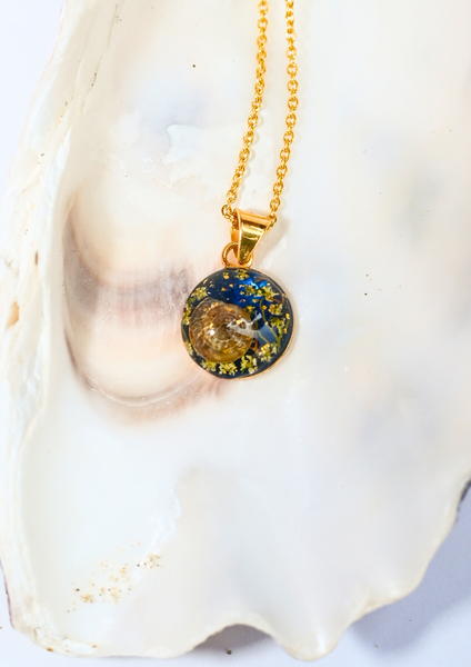 Sirènes de Monte-Carlo — N° 11/24