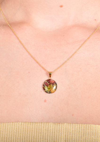 Sirènes de Monte-Carlo — N° 14/24