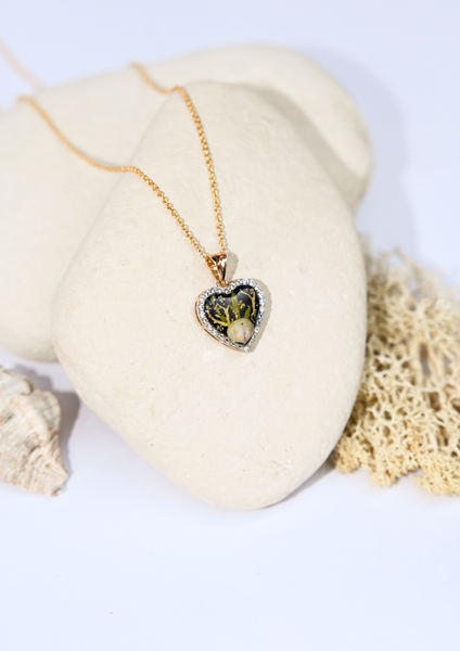 Sirènes de Monte-Carlo — N° 15/24