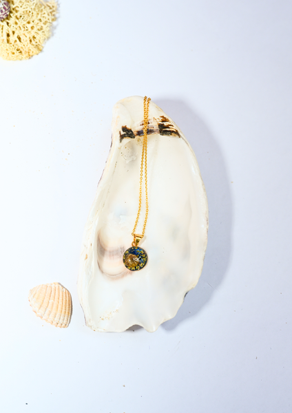 Sirènes de Monte-Carlo — N° 11/24