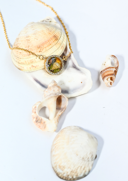 Sirènes de Monte-Carlo — N° 12/24