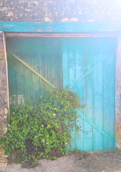 Sirènes de Monte-carlo - Œuvre d'art originale (100 cm x 100 cm)